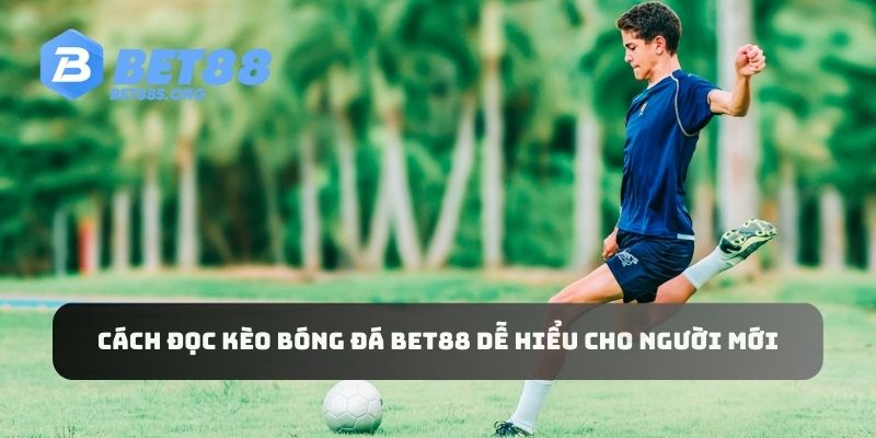 Người chơi cần tìm hiểu kỹ về cách đọc kèo bóng đá BET88 nếu muốn thắng cược dễ dàng